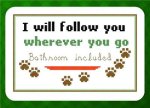 I Will Follow You (image for) I Will Follow You